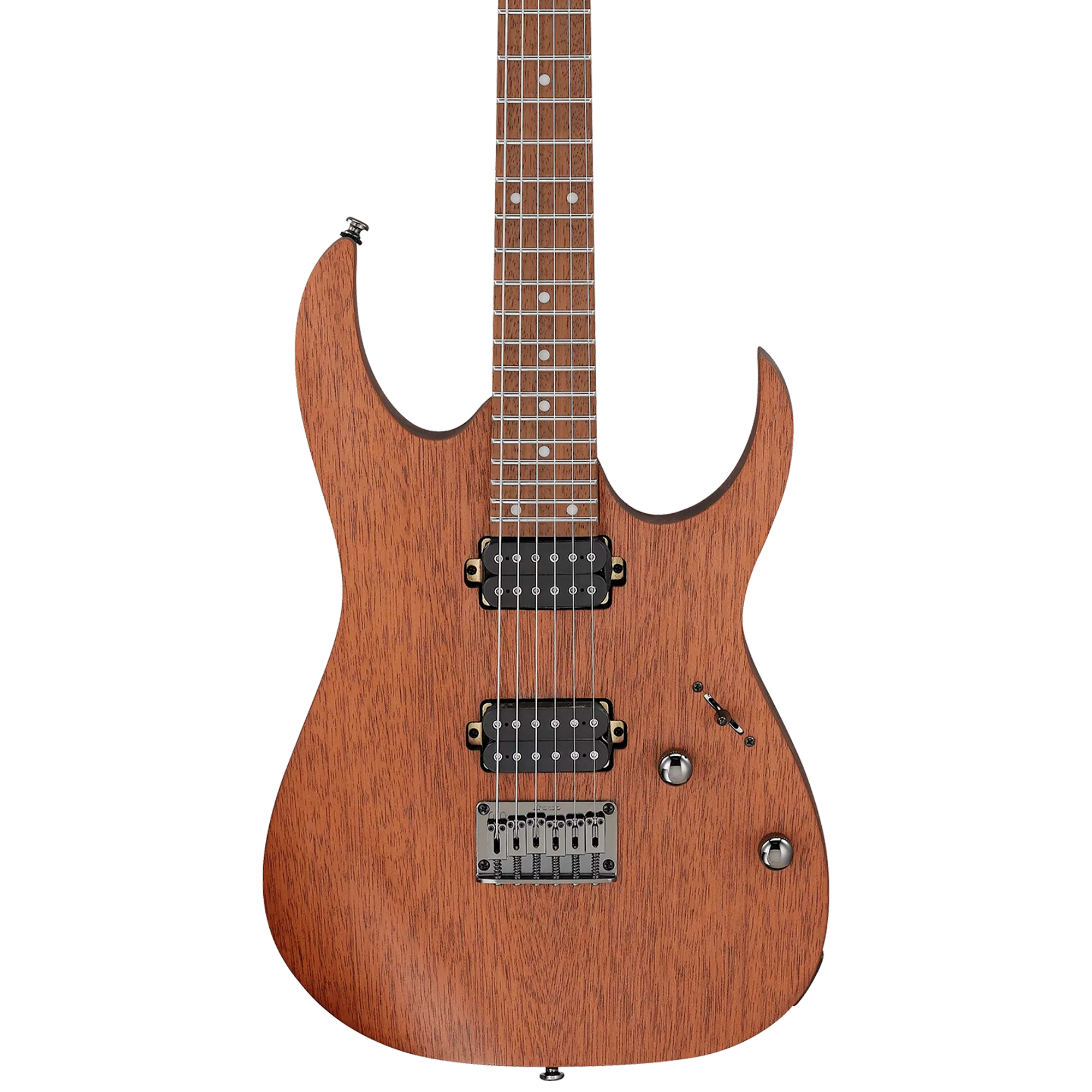 Guitarra eléctrica Ibanez - RG421 MOL