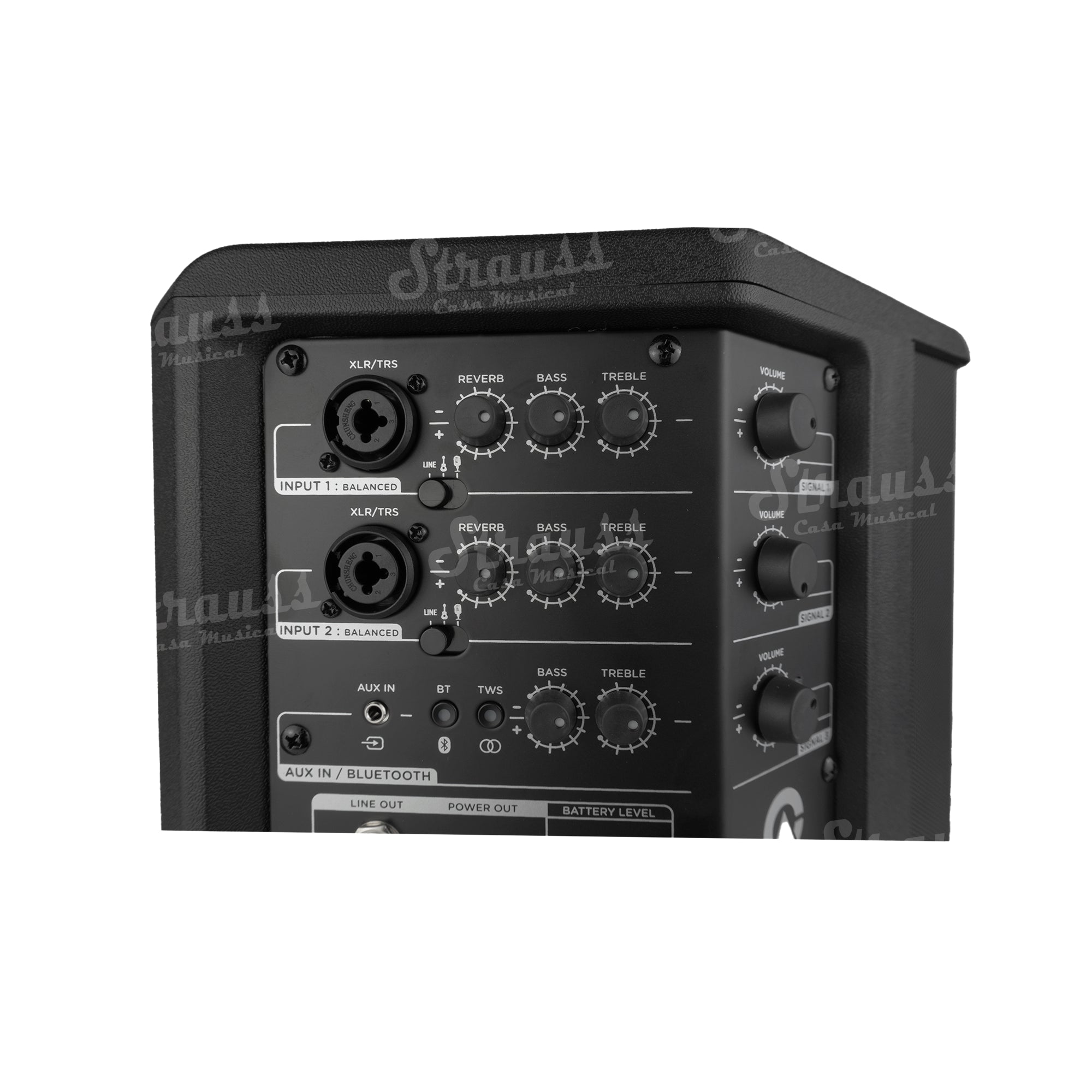 Custom Audio System Parlante Portatil - M4T Black