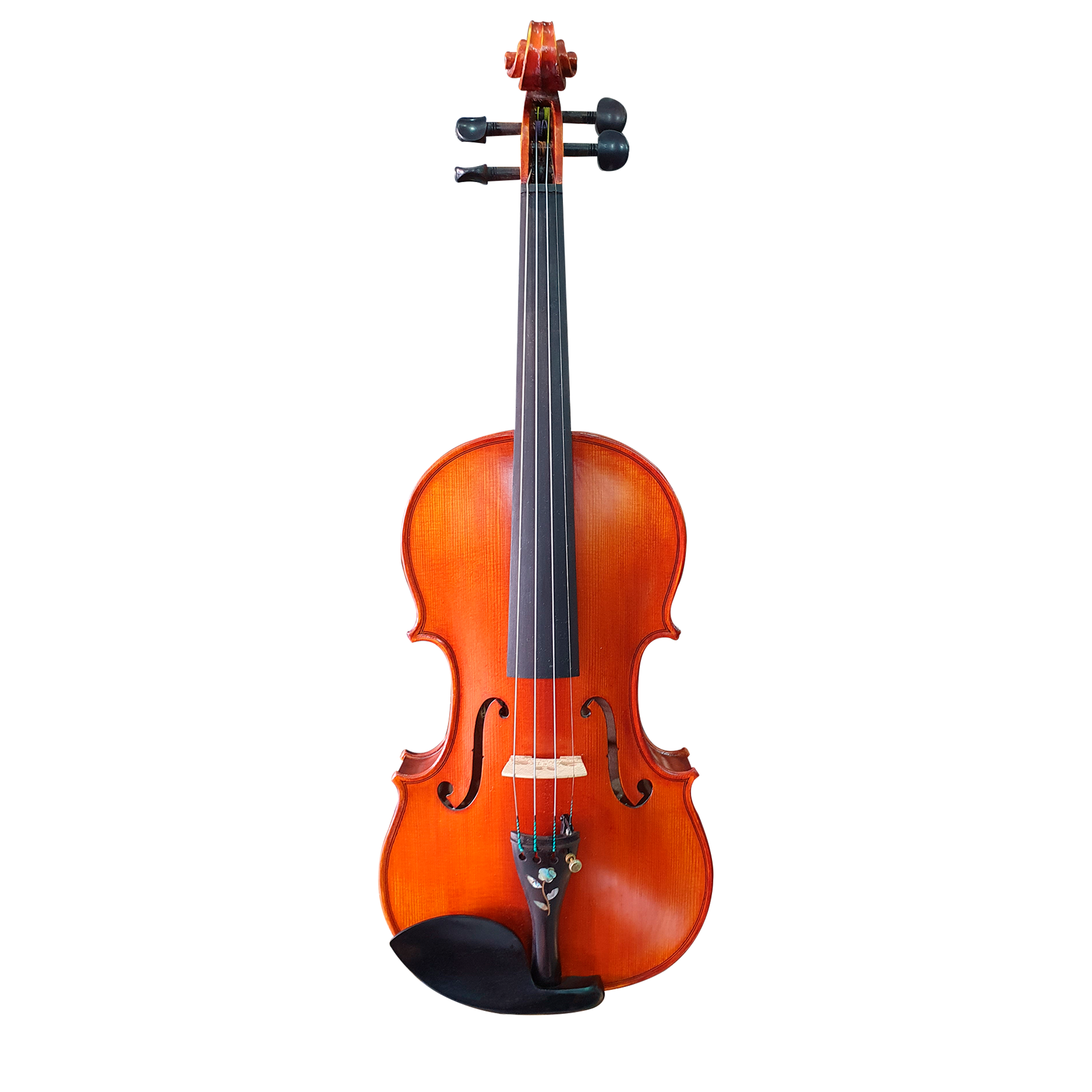 Violín Djersen Profesional 4/4 - SNVL302